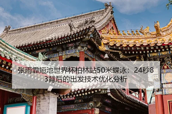 zhang-yu-fei-duan-chi-shi-jie-bei-bo-lin-zhan-mi-die-yong-miao-bei-hou-de-chu-fa-ji-shu-you-hua-fen-xi-2-357.jpg